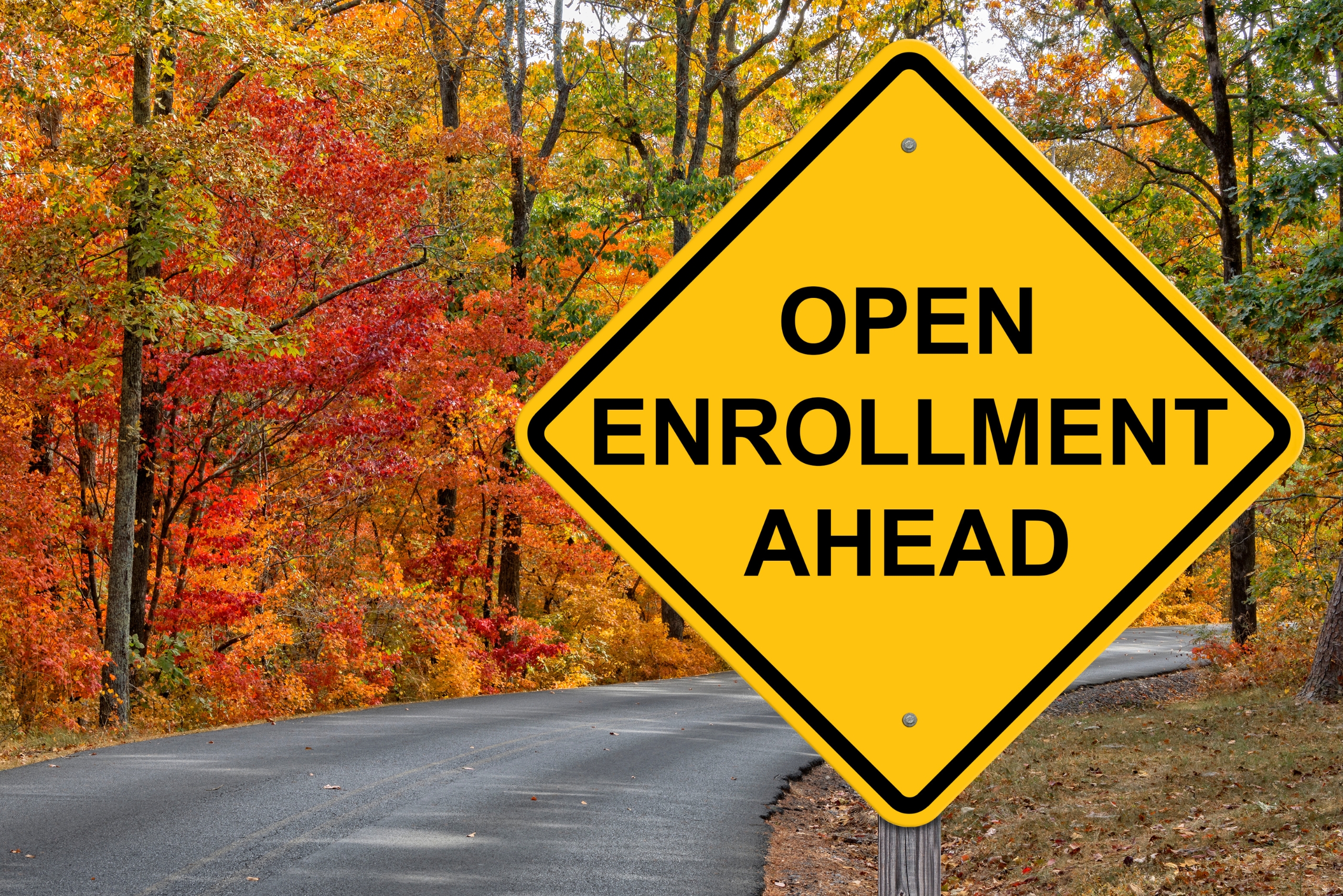 Open Enrollment with ARK